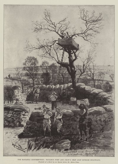 La insurrección de Matabili, Fort Taylor y Crow